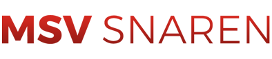 logo msvsnaren